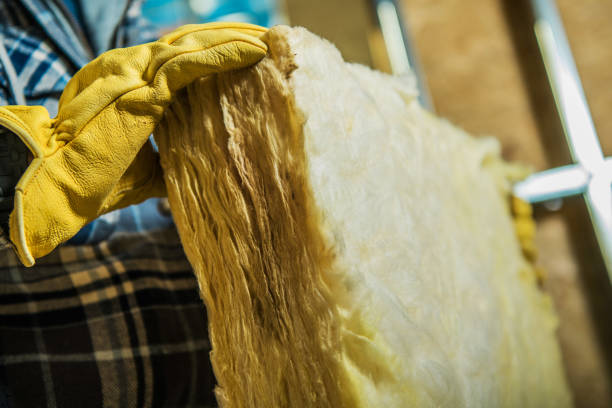 Insulation Repair Services in Charleston, MS