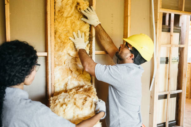 Insulation Replacement Services in Charleston, MS